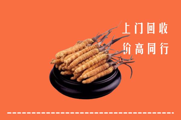 高价求购：威海市回收散虫草