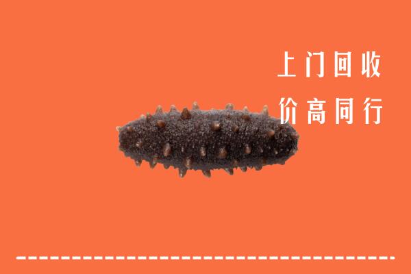 高价求购：威海市回收海参