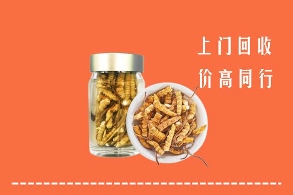 威海市回收冬虫夏草