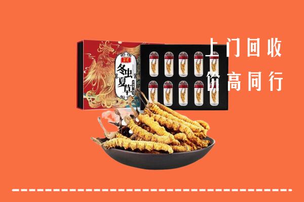 威海市回收虫草